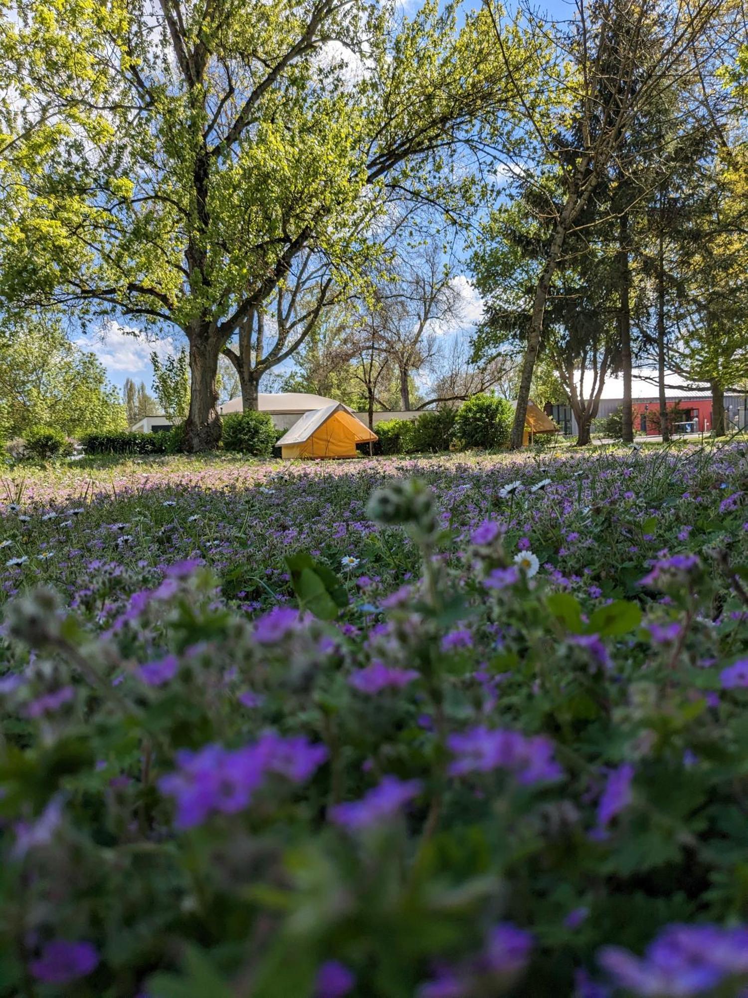 Camping Onlycamp Tours Val De Loire Saint-Avertin Ngoại thất bức ảnh